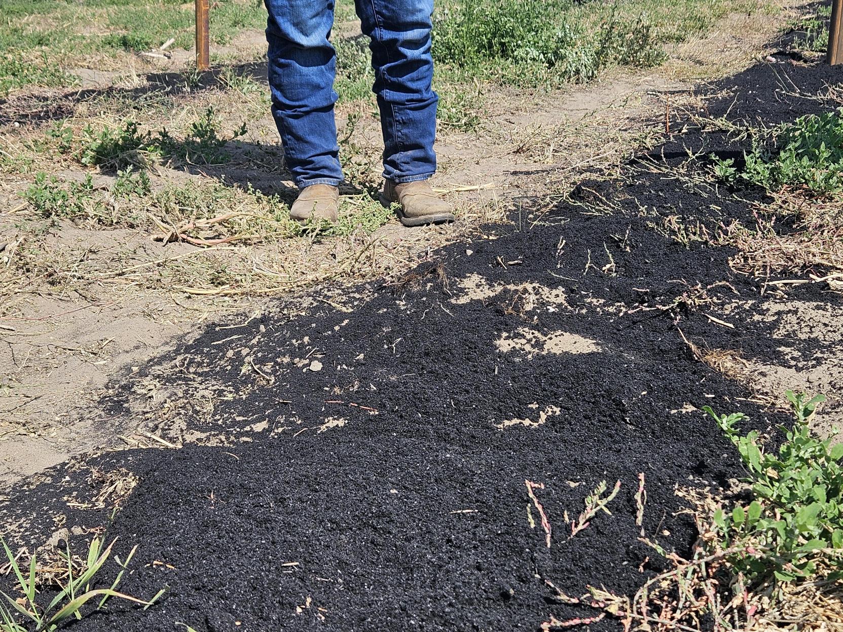 Ask Me Anything: Biochar in the Field with Qualterra - International ...