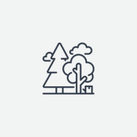 Land Restoration and Forestry logo
